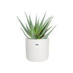 b.for soft round 22cm white